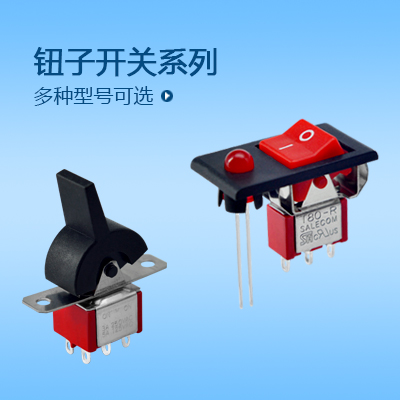 鈕子開關系列